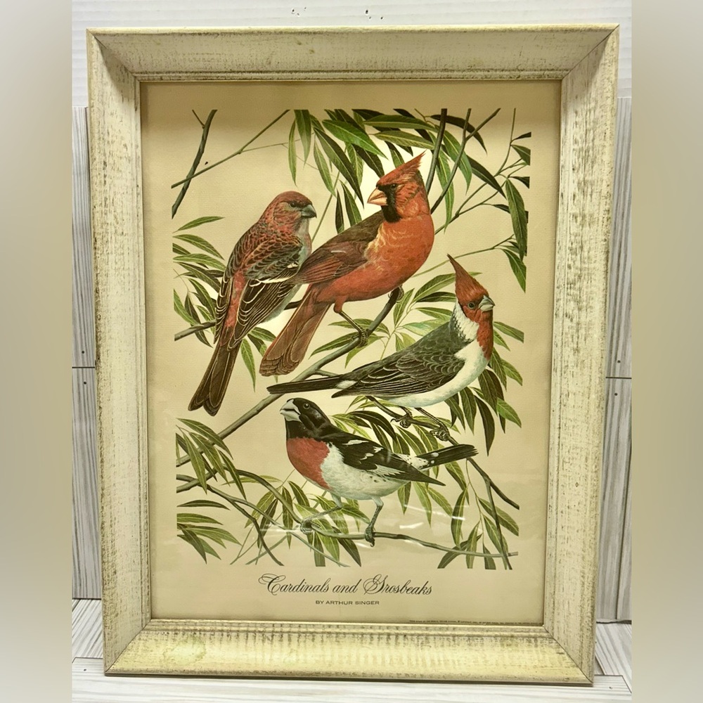 Vintage 1961 Cardinals & Grosbeaks Bird Art Print Arthur Singer Framed 18" x 14"